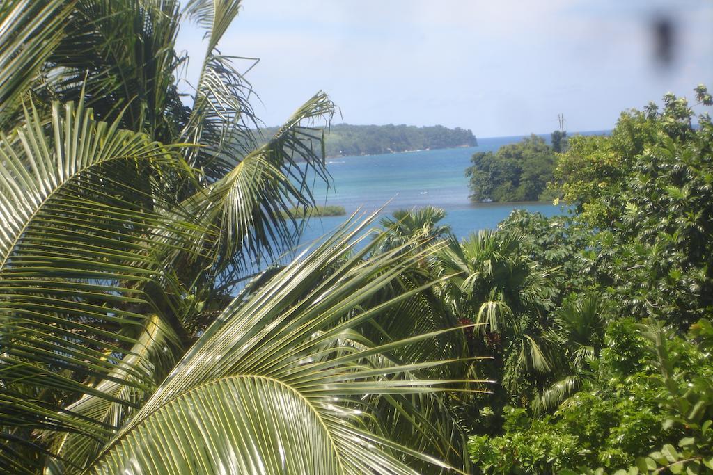 Finjam Cottage Port Antonio Exterior foto