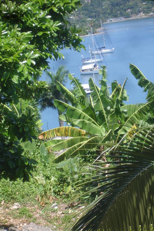 Finjam Cottage Port Antonio Exterior foto